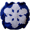 Cloth Diaper Reviews - Snowflake Diaper