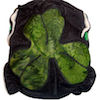 Cloth Diaper Reviews- Lucky Irish