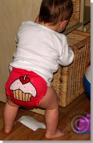 Cloth Diaper Picture - What's in There?