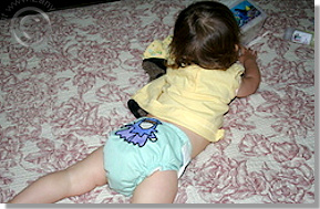 Cloth Diaper Picture - Gnomeishness