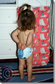 Cloth Diaper Picture - Rockin' Robin