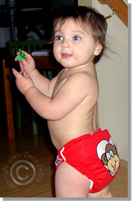 Cloth Diaper Picture - Monkey Business