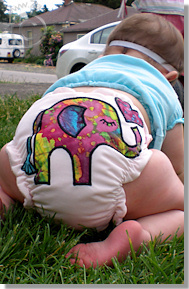 Cloth Diaper Picture - Baby on the Move