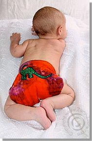 Cloth Diaper Picture - Baby Dinosaur