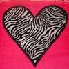 Prefold Cloth Diaper - Zebra Heart